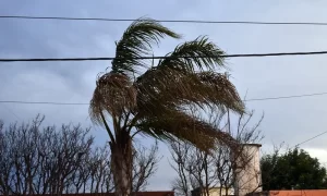Se esperan ráfagas de viento de más de 80 km/h en Entre Ríos este domingo
