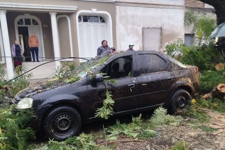 El Municipio atiende las contingencias en la ciudad por la lluvia y viento
