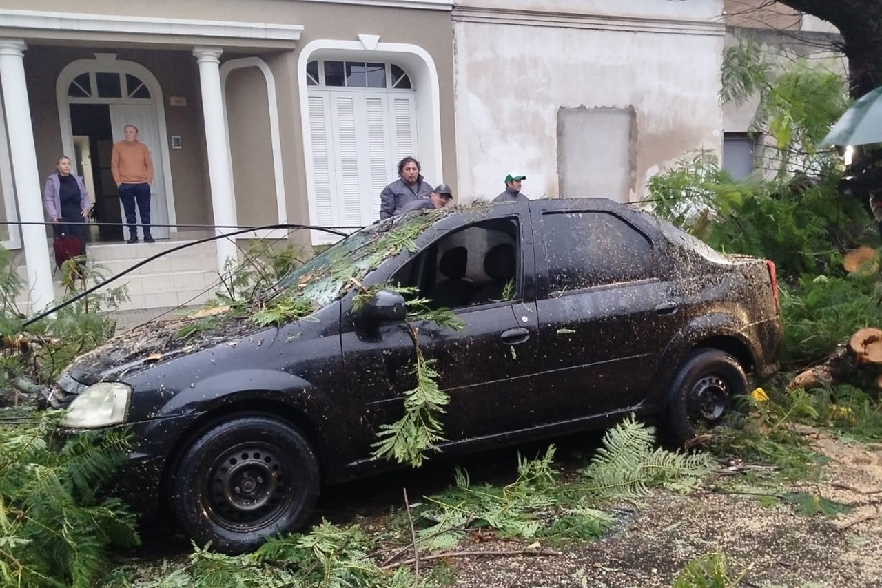 El Municipio atiende las contingencias en la ciudad por la lluvia y viento