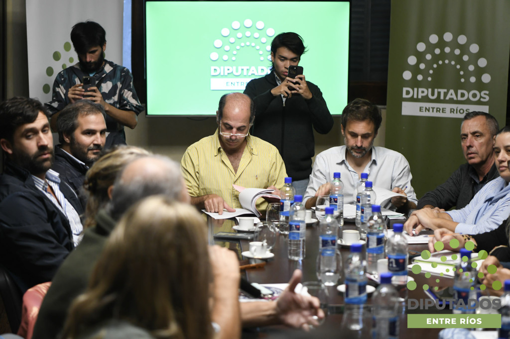 Avances en el proyecto que establece el Procedimiento de Juicio Político