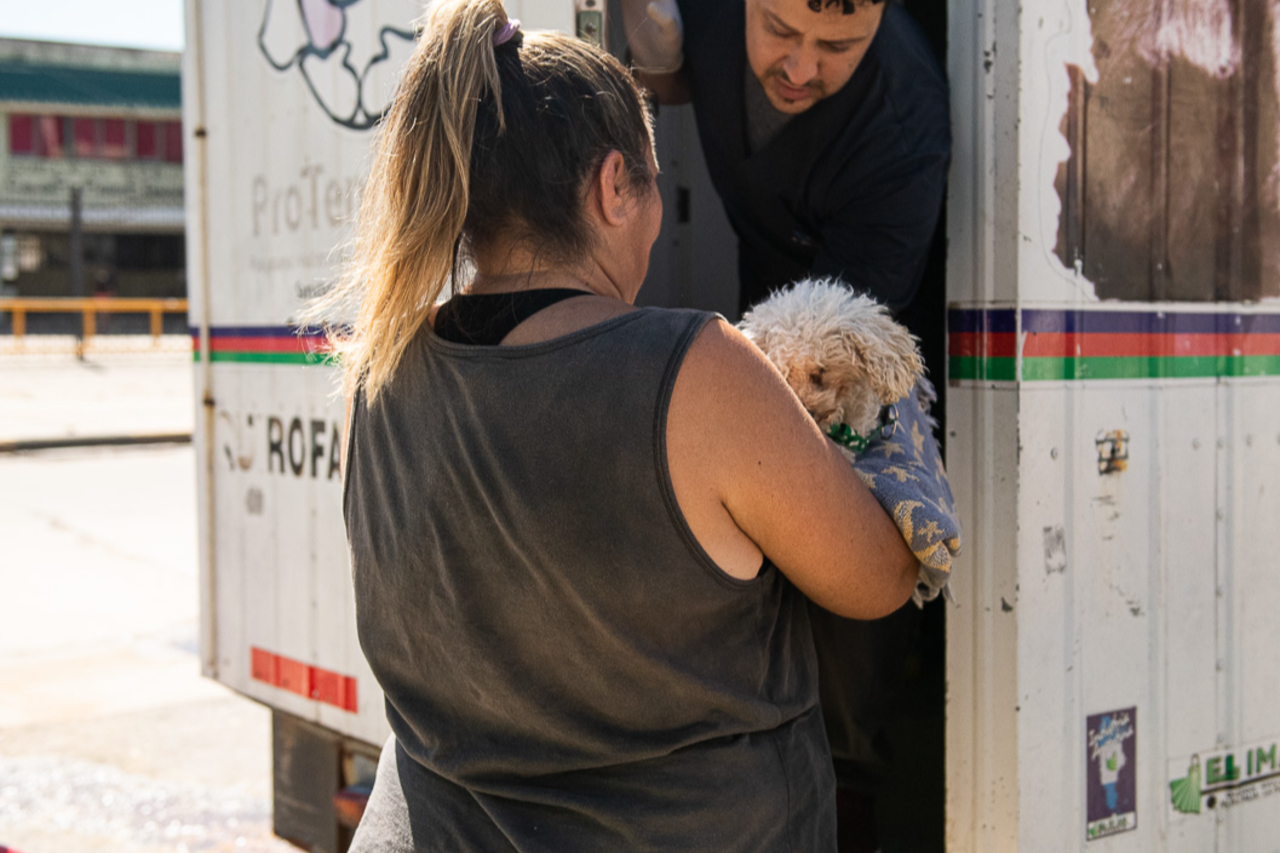 Continúan esta semana los operativos gratuitos de salud animal en barrios de Paraná