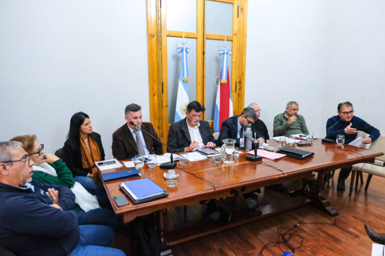 Proyecto de reforma previsional: representantes de empleados estatales se expresaron ante los senadores