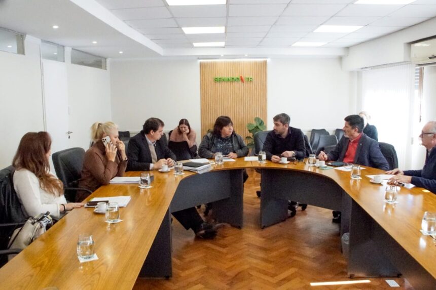 En comisión tuvo dictamen el proyecto sobre pensiones especiales
