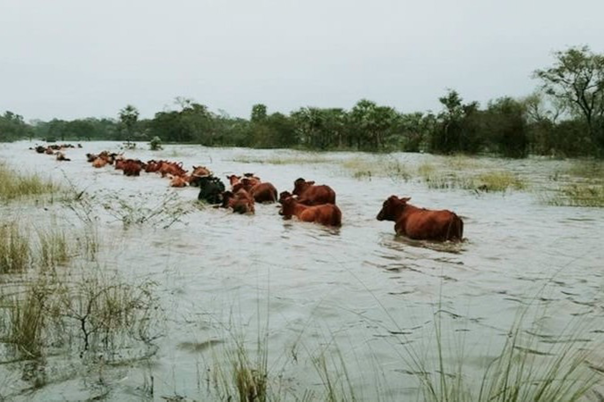 La provincia coordina con municipios protocolos preventivos ante el fenómeno de El Niño