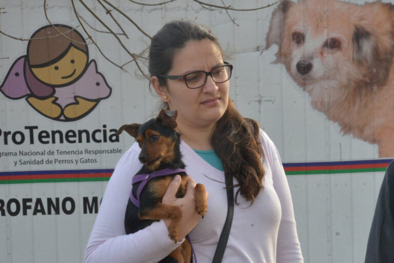 Continúa el operativo de salud animal en los barrios Mosconi y El Sol