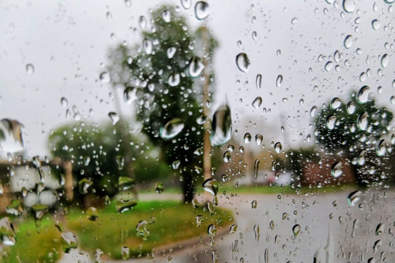 La Municipalidad despliega un operativo de emergencia para atender las consecuencias del temporal
