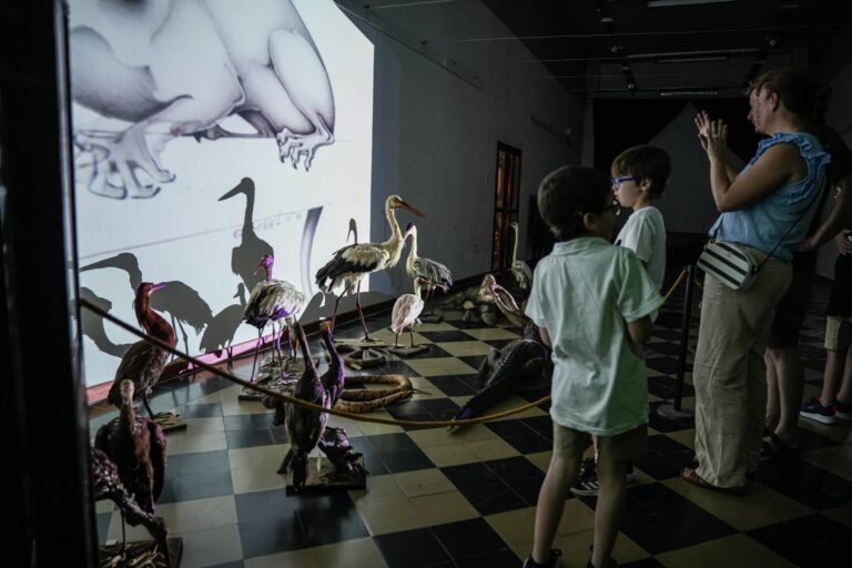 Más de 150 instituciones de toda la provincia participarán de La Noche de los Museos Entrerrianos
